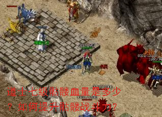 ��ʿ�߼�����Ѫ���Ƕ��٣������������ս������