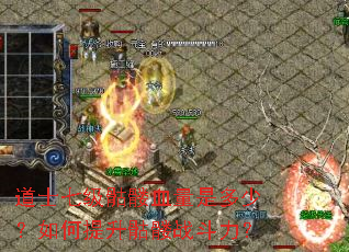 ��ʿ�߼�����Ѫ���Ƕ��٣������������ս������