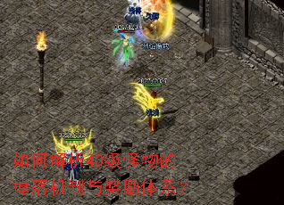 ��ν���40������ĵ�������뽱����ϵ��