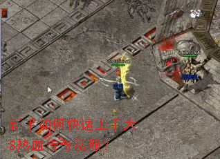 ������ο������ִ�S��Ѫ����˽����