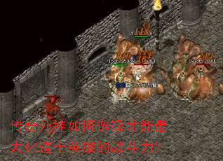 ����������ѡ�������󻯵�ʿӢ�۵�ս������