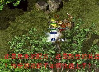 ����ԭ�����䷽��������Ϥ��ζ����������Ϸ������ο������֣�