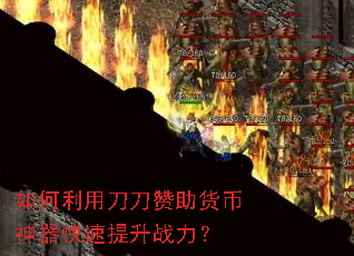 ������õ�����������������������ս����