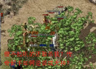 ɵ����ߴ�Ļ���ɱ�ң��������������Ϯ�ɴ���