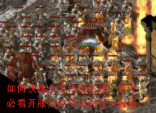 ��ο������ִ���˽�������ֱؿ�����ָ���븣����ȡ�ؼ�