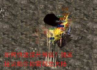 ��ο��������ȼ��������ؾ�����ư��귨��½