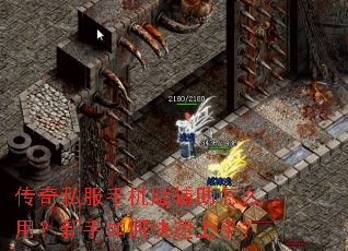 ����˽���ֻ��渨����ô�ã�������ο������֣�