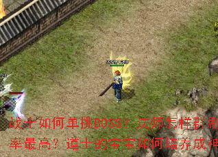 սʿ��ε���BOSS����ʦ����ȺˢЧ����ߣ���ʿ�ı��������������裿