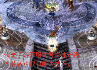 �������ο�����ο���������װ����ȡ����Щ���ɣ�