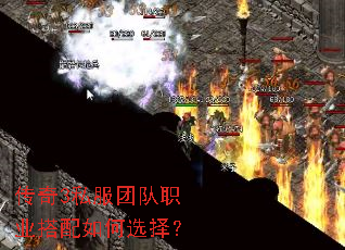 ����3˽���Ŷ�ְҵ�������ѡ��