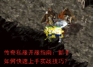 ����˽������ָ�ϣ�������ο�������ʵս���ɣ�