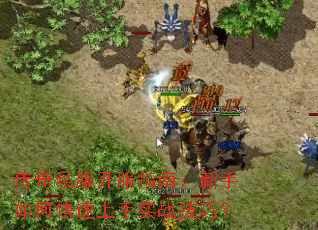 ����˽������ָ�ϣ�������ο�������ʵս���ɣ�