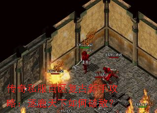 ����˽�������������ֹ��ԣ���¹��������ƵУ�