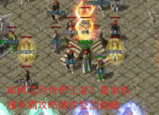 ��γ�Ϊ�������ߣ���ȫ˽�����Թ�������Ƕ��۷�