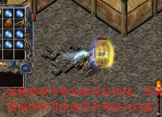 ���ʵ�ִ���˽���һ��񼼣������ֶ��������ɿ��������ȼ���Ƹ���