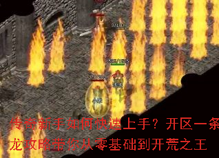 ����������ο������֣�����һ�������Դ���������������֮��