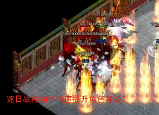 ����ս����ο���������ɫ�ȼ���