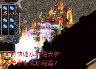 ��ο��ٻ�ȡ���������������书�ؼ���