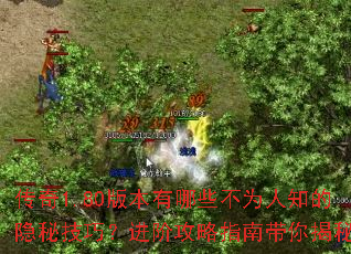 ����1.80�汾����Щ��Ϊ��֪�����ؼ��ɣ����׹���ָ�ϴ������