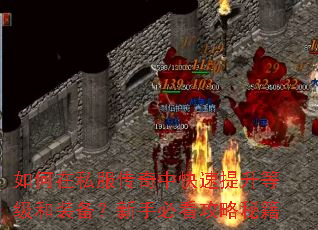 �����˽�������п��������ȼ���װ�������ֱؿ������ؼ�