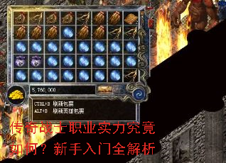 ����սʿְҵʵ��������Σ���������ȫ����