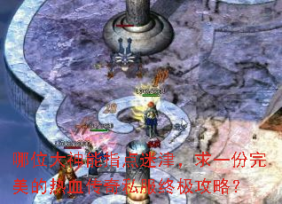 ��λ������ָ���Խ���һ����������Ѫ����˽���ռ����ԣ�