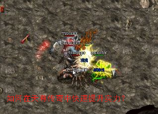 ������������п�������ʵ����