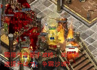 �Է��������ֹ��ԣ���ο�������ս��������ɳ�ǣ�