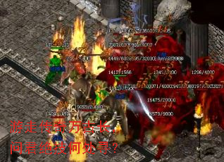 ���ߴ�����ų����ʾ������δ�Ѱ��