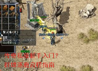 ����˽���������ţ�Ⱥ����¹����ָ��