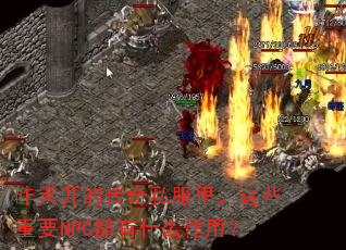 ���쿪�Ĵ���˽�����Щ��ҪNPC����ʲô���ã�