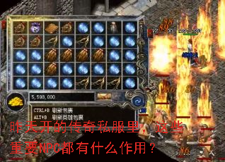 ���쿪�Ĵ���˽�����Щ��ҪNPC����ʲô���ã�