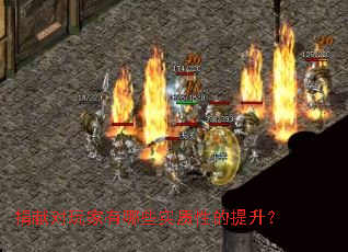 ���׶��������Щʵ���Ե�������