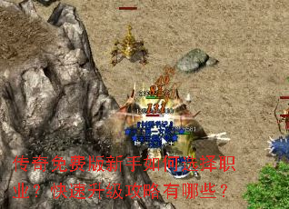 ������Ѱ��������ѡ��ְҵ������������������Щ��