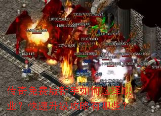 ������Ѱ��������ѡ��ְҵ������������������Щ��