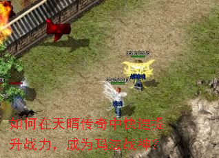 ��������紫���п�������ս������Ϊ�귨ս��