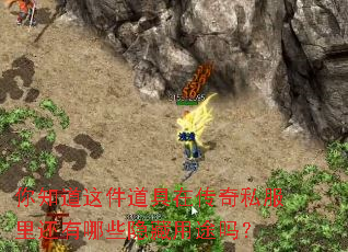 ��֪����������ڴ���˽���ﻹ����Щ������;��