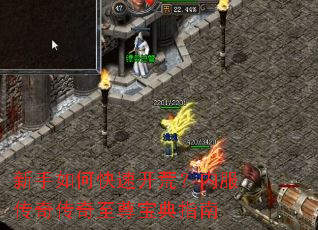 ������ο��ٿ��ģ��ڷ����洫�����𱦵�ָ��