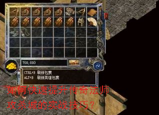 ��ο����������淨ʦ��ɱ�ǵ�ʵս���ɣ�