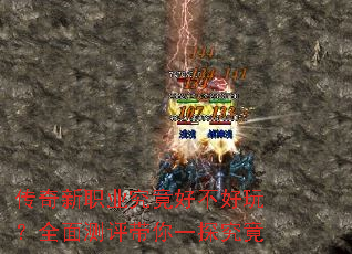 ������ְҵ�����ò����棿ȫ���������һ̽����