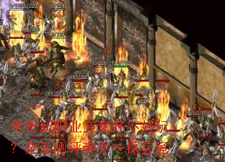 ������ְҵ�����ò����棿ȫ���������һ̽����