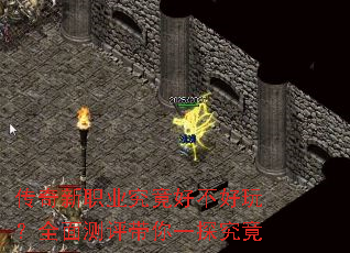 ������ְҵ�����ò����棿ȫ���������һ̽����