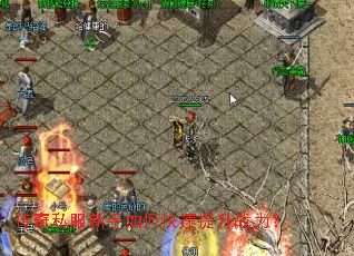 ����˽��������ο�������ս����