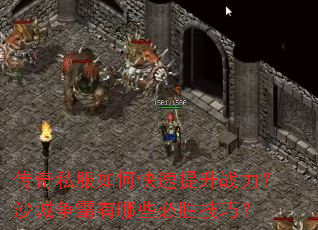 ����˽����ο�������ս����ɳ����������Щ��ʤ���ɣ�