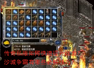 ����˽����ο�������ս����ɳ����������Щ��ʤ���ɣ�