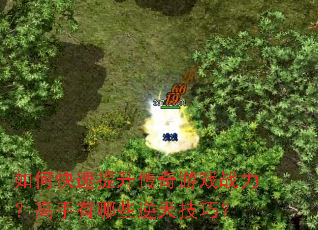 ��ο�������������Ϸս������������Щ���켼�ɣ�