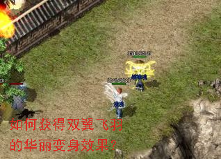 如何获得双翼飞羽的华丽变身效果? 如何获得双翼飞羽的华丽变身效果?