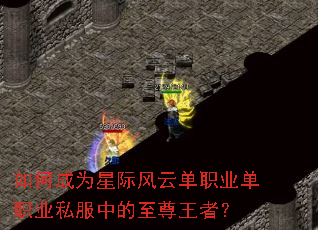 ��γ�Ϊ�Ǽʷ��Ƶ�ְҵ��ְҵ˽���е��������ߣ�