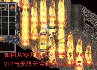 ��δ��㿪ʼ��Ϊ����ɳ�ǰ���������VIP������Ԫ�����ռ�������ʲô��