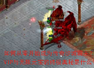 ��δ��㿪ʼ��Ϊ����ɳ�ǰ���������VIP������Ԫ�����ռ�������ʲô��